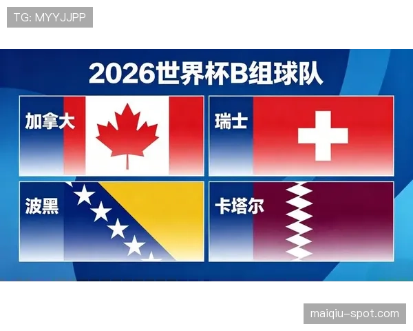 世界杯B组瑞士争夺小组第一前景解读